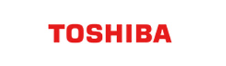 Hosting Services For Toshiba